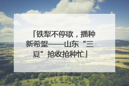 铁犁不停歇，播种新希望——山东“三夏”抢收抢种忙