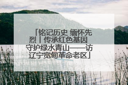 铭记历史 缅怀先烈丨传承红色基因 守护绿水青山——访辽宁宽甸革命老区