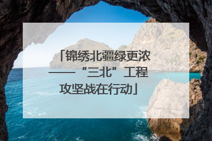锦绣北疆绿更浓——“三北”工程攻坚战在行动