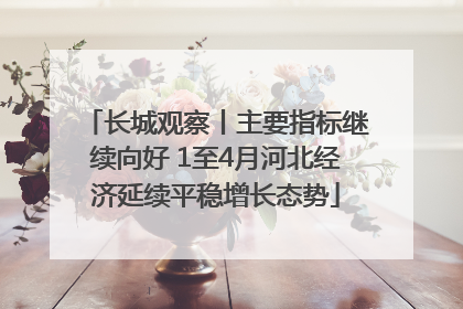 长城观察丨主要指标继续向好 1至4月河北经济延续平稳增长态势