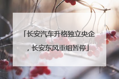 长安汽车升格独立央企，长安东风重组暂停