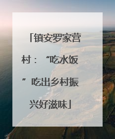 镇安罗家营村：“吃水饭”吃出乡村振兴好滋味