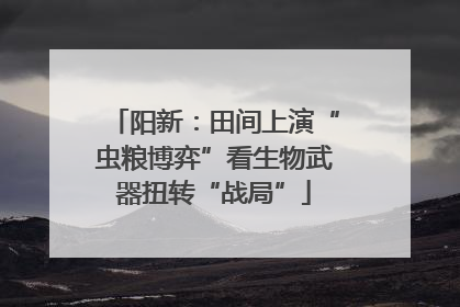 阳新：田间上演“虫粮博弈”看生物武器扭转“战局”