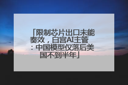 限制芯片出口未能奏效，白宫AI主管：中国模型仅落后美国不到半年