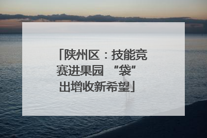 陕州区：技能竞赛进果园 “袋”出增收新希望