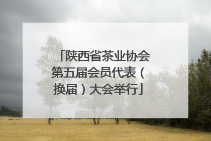 陕西省茶业协会第五届会员代表（换届）大会举行
