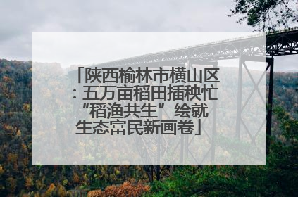 陕西榆林市横山区：五万亩稻田插秧忙 “稻渔共生”绘就生态富民新画卷