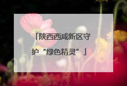 陕西西咸新区守护“绿色精灵”