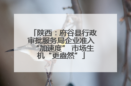 陕西：府谷县行政审批服务局企业准入“加速度” 市场生机“更盎然”