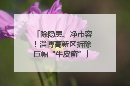 除隐患、净市容！淄博高新区拆除巨幅“牛皮癣”
