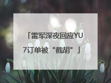 雷军深夜回应YU7订单被“截胡”