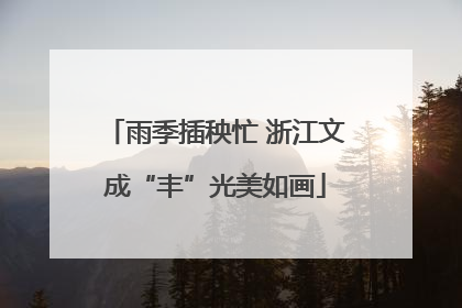 雨季插秧忙 浙江文成“丰”光美如画