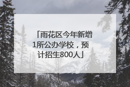 雨花区今年新增1所公办学校，预计招生800人