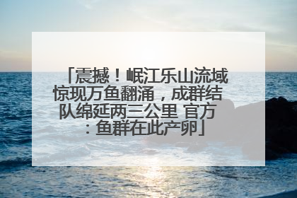 震撼！岷江乐山流域惊现万鱼翻涌，成群结队绵延两三公里 官方：鱼群在此产卵