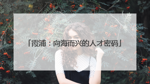 霞浦：向海而兴的人才密码