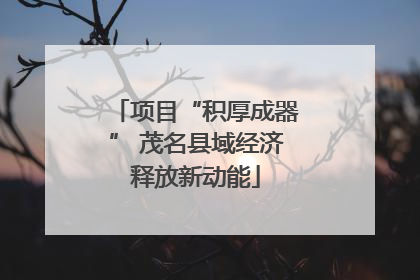 项目“积厚成器” 茂名县域经济释放新动能