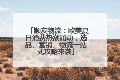 顺友物流：欧美夏日消费热潮涌动，选品、营销、物流一站式攻略来袭