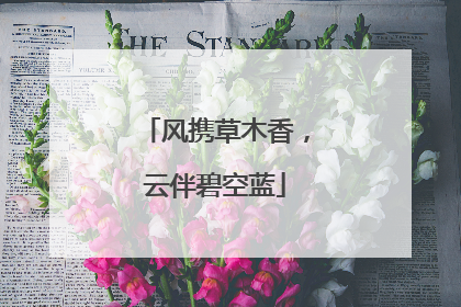 风携草木香，云伴碧空蓝