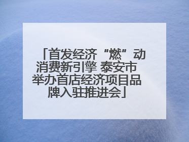 首发经济“燃”动消费新引擎 泰安市举办首店经济项目品牌入驻推进会