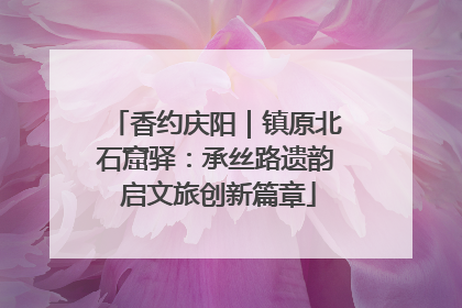 香约庆阳｜镇原北石窟驿：承丝路遗韵 启文旅创新篇章