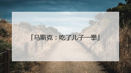 马斯克：吃了儿子一拳