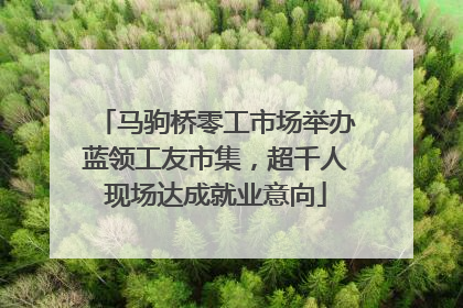 马驹桥零工市场举办蓝领工友市集，超千人现场达成就业意向