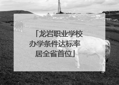 龙岩职业学校办学条件达标率居全省首位