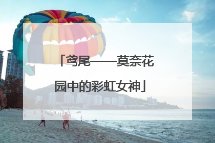 鸢尾——莫奈花园中的彩虹女神