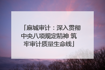 麻城审计：深入贯彻中央八项规定精神 筑牢审计质量生命线