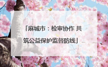 麻城市：检审协作 共筑公益保护监督防线
