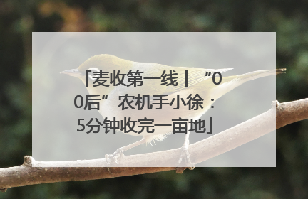 麦收第一线丨“00后”农机手小徐：5分钟收完一亩地