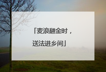 麦浪翻金时，送法进乡间