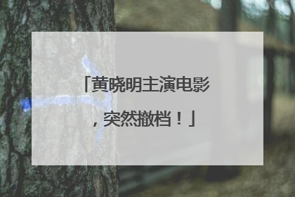 黄晓明主演电影，突然撤档！