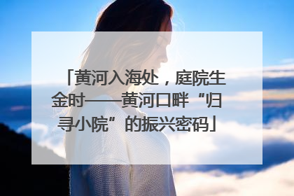 黄河入海处，庭院生金时——黄河口畔“归寻小院”的振兴密码