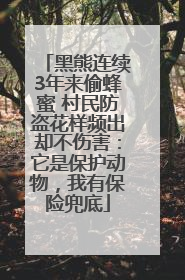 黑熊连续3年来偷蜂蜜 村民防盗花样频出却不伤害：它是保护动物，我有保险兜底