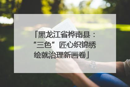 黑龙江省桦南县：“三色”匠心织锦绣 绘就治理新画卷