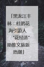 黑龙江丰林：杜鹃花海引游人 “花经济”助推文旅新热潮