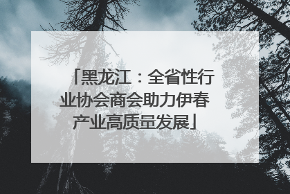 黑龙江：全省性行业协会商会助力伊春产业高质量发展