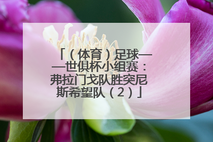 （体育）足球——世俱杯小组赛：弗拉门戈队胜突尼斯希望队（2）