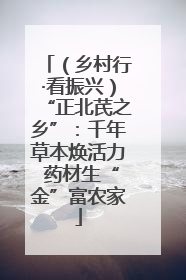 （乡村行·看振兴）“正北芪之乡”：千年草本焕活力 药材生“金”富农家