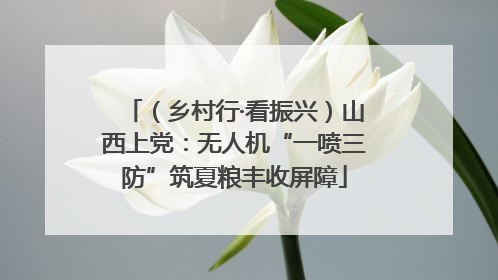 （乡村行·看振兴）山西上党：无人机“一喷三防”筑夏粮丰收屏障
