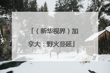 （新华视界）加拿大：野火蔓延