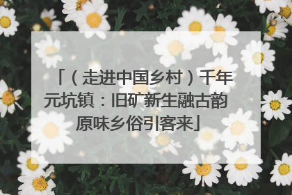 （走进中国乡村）千年元坑镇：旧矿新生融古韵 原味乡俗引客来