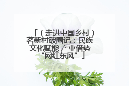 （走进中国乡村）茗新村破圈记：民族文化赋能 产业借势 “网红东风”