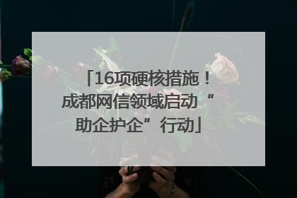 16项硬核措施！成都网信领域启动“助企护企”行动
