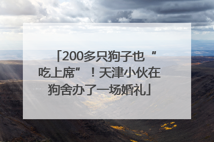 200多只狗子也“吃上席”！天津小伙在狗舍办了一场婚礼