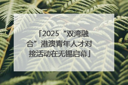 2025“双湾融合”港澳青年人才对接活动在无锡启幕