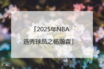 2025年NBA选秀球员之杨瀚森