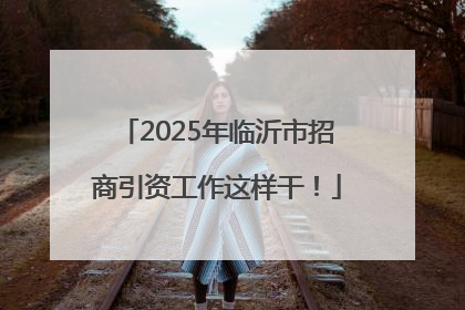 2025年临沂市招商引资工作这样干！