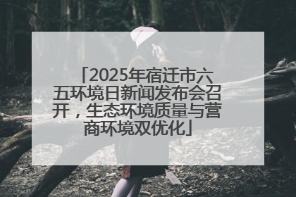 2025年宿迁市六五环境日新闻发布会召开，生态环境质量与营商环境双优化